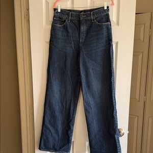 Express Dark Blue Denim Jeans